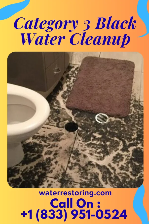 Category 3 Black Water Cleanup in Between, GA