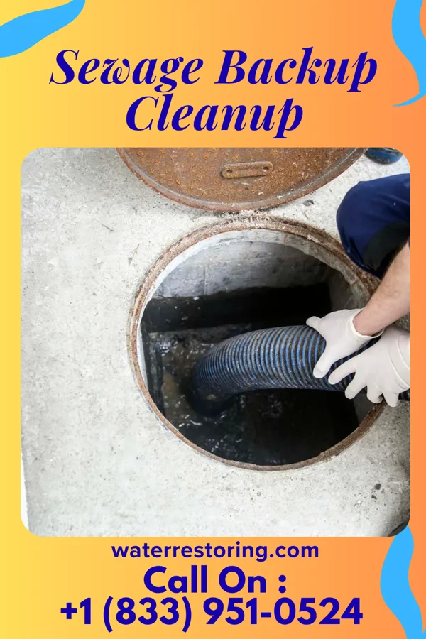 Sewage Backup Cleanup in Between, GA